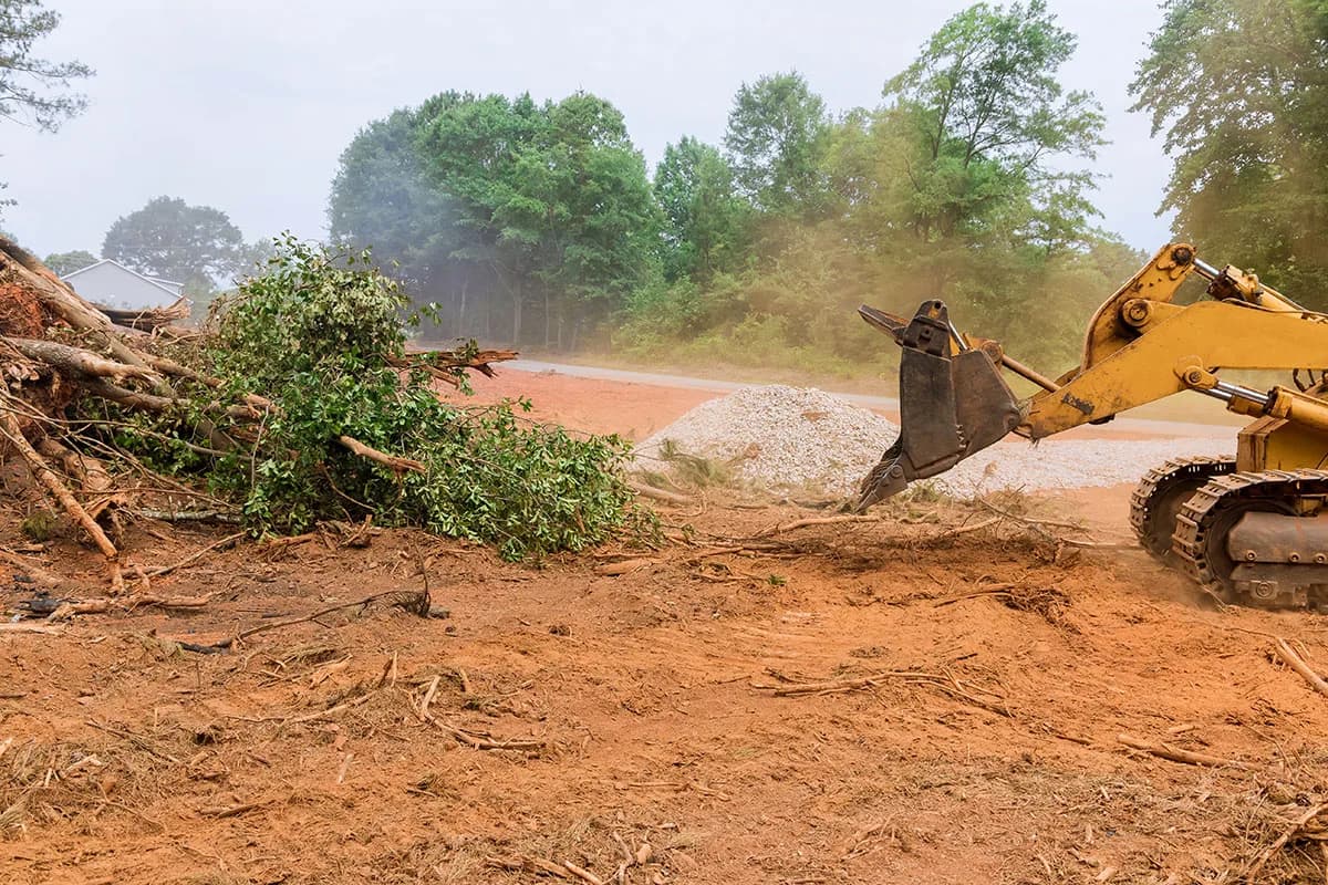 A loader pushing cut brush and small trees off a lot being cleared